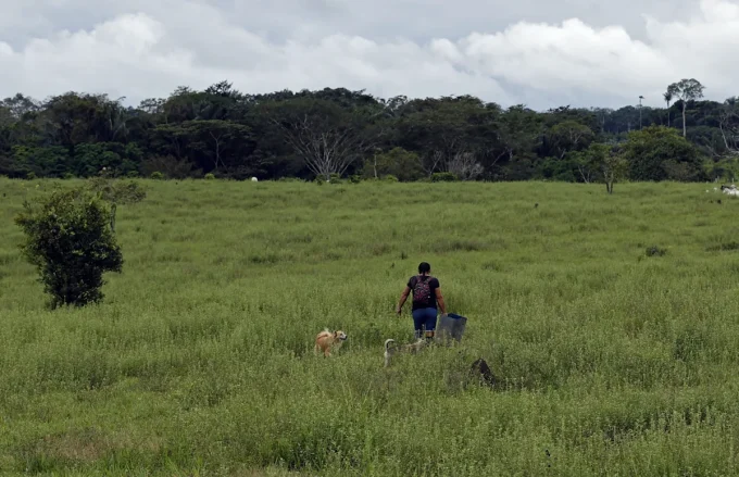 Informe revela una reducción de la deforestación mundial aunque su tasa sigue siendo alta