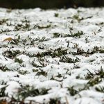 Media Europa está en alerta por frío polar y una fina capa de nieve cubre Bruselas