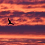 La ESA y Noruega exploran la posibilidad de crear un Centro Espacial Ártico