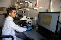 Identifican un marcador en sangre que podría ser clave en fases iniciales del alzhéimer