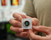 El cerebro humano viene 'preconfigurado' con instrucciones para comprender el mundo