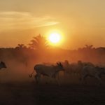 Los escenarios de cine de Netflix en Brasil, al alcance del público en una guía turística