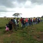 ERD intercepta 19 indocumentados que intentaban ingresar por la zona del río Masacre