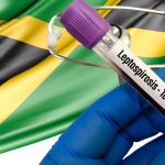 Jamaica sufre un brote de leptospirosis tras el paso del huracán Melissa