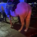 Aguinaldo en Verón Punta Cana termina en tragedia: un fallecido y varios heridos