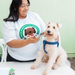 ADN continúa realizando jornadas de esterilización y vacunación para perros y gatos