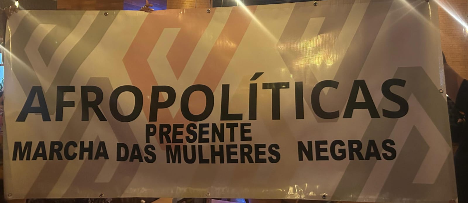 Mujeres afropolíticas de América Latina se suman en Brasilia a la Marcha de las Mujeres Negras
