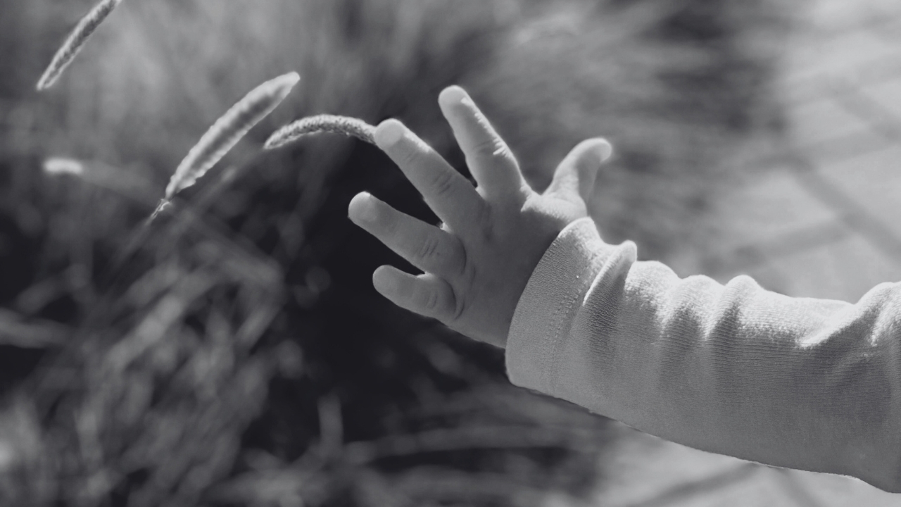 Muere niño de un año oriundo de Azua tras ingerir más de 40 cápsulas para la tos