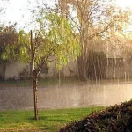 Punta Cana Vivirá Domingo de Sol con lluvias leves