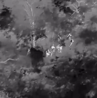 Ejército detiene a ocho haitianos irregulares detectados por drones en Palo Blanco, Dajabón