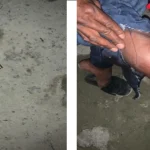 Hombre resulta herido de bala y otro es detenido en Friusa, Bávaro