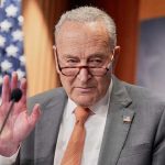 Demócratas quieren demandar al Gobierno por no divulgar todos los archivos de Epstein