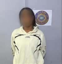 Arrestan mujer por presunta estafa electrónica en San José de las Matas