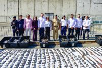  MIP y Metaldom convierten 3,945 armas de fuego en chatarra ferrosa para fortalecer la seguridad nacional