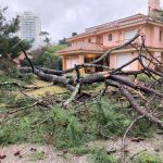 Vehículos dañados y 95 árboles caídos sobre casas por el ciclón extratropical en Uruguay