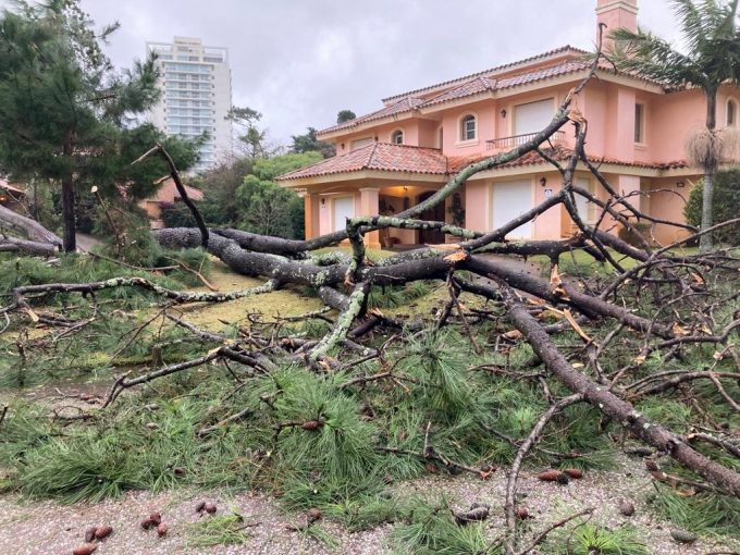Vehículos dañados y 95 árboles caídos sobre casas por el ciclón extratropical en Uruguay