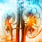 El trasplante de riñón ahora es gratuito en Rusia