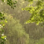 INDOMET pronostica chubascos en La Altagracia por débil vaguada asociada a sistema frontal