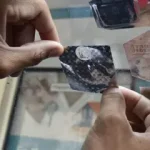 Renovación del marbete 2025-2026: vía digital vence este domingo 18 y presencial sigue hasta el 31 de enero