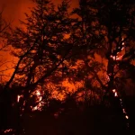 La Patagonia argentina enfrenta graves incendios y registra ya 45.000 hectáreas quemadas