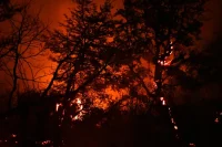 La Patagonia argentina enfrenta graves incendios y registra ya 45.000 hectáreas quemadas