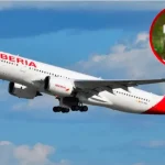 RD recibirá 14 vuelos semanales desde Madrid