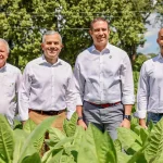 Exportaciones de tabaco de RD se incrementan más de 1,000 millones de pesos en 2025 informa INTABACO