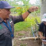 Panamá superó los 822 contagios de dengue
