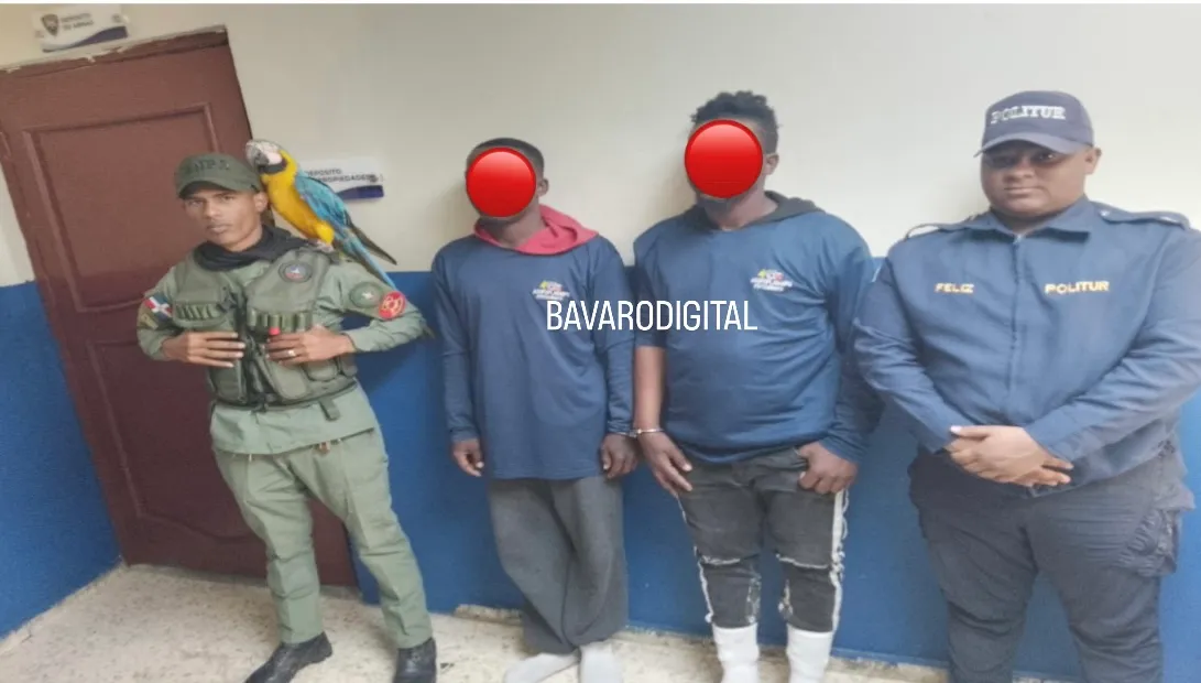 BÁVARO: dos ciudadanos fueron remitidos al Ministerio de Medio Ambiente por presuntas faltas ambientales