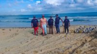 Realizan operativo de limpieza y recuperación ambiental en Playa Macao