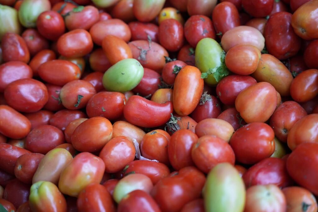 Ministro de Industria y Comercio respalda a mipymes en la Feria del Tomate en Azua | 12 | Ministro de Industria y Comercio respalda a mipymes en la Feria del Tomate en Azua - Noticias de hoy en República Dominicana | De Último Minuto
