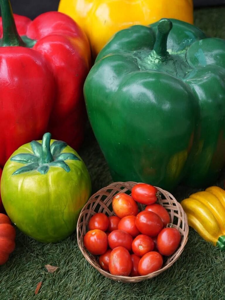 Ministro de Industria y Comercio respalda a mipymes en la Feria del Tomate en Azua | 13 | Ministro de Industria y Comercio respalda a mipymes en la Feria del Tomate en Azua - Noticias de hoy en República Dominicana | De Último Minuto