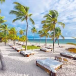 ¿Por qué Punta Cana sigue siendo el destino favorito de los turistas?