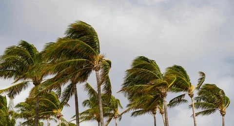 INDOMET pronostica viento fuerte y lluvias aisladas para La Altagracia y otras provincias