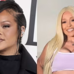 La sospechosa de disparar a la casa de Rihanna con un rifle tipo AR-15 es acusada de 14 cargos