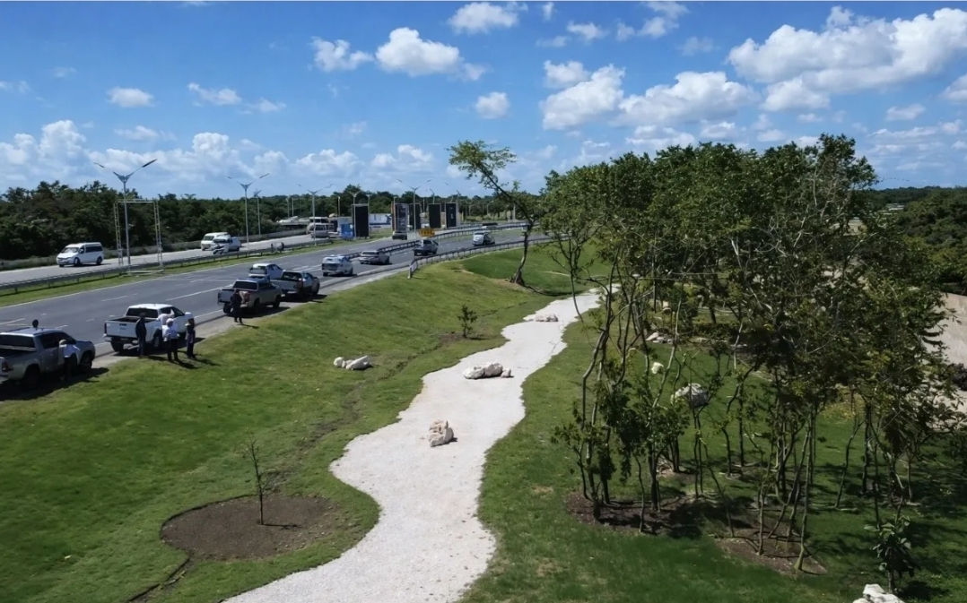 RD Vial y DIGECAC embellecen Autopista del Coral con 7,000 plantas