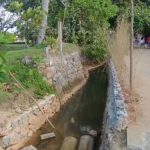 Alerta ambiental en Playa Bonita, Las Terrenas; genera preocupación en Samaná