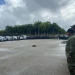 Operativo en Higüey deja más de 7,500 gramos de drogas incautados